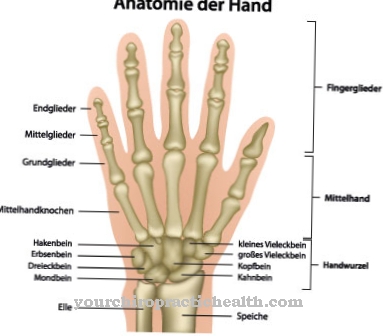 priežastys nykščio artritas šepečiai rankų valymo