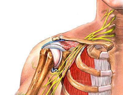 gydymas pagal liaudies metodas artrozei 2 laipsnių neuralgija peties sąnario kaip pašalinti skausmą