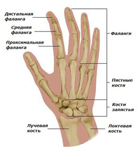 edema joints
