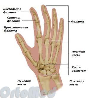 sąnarių rankų ir pirštų nutirpęs artritas dėl podagros rankas
